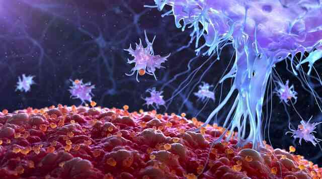 Mỹ thử nghiệm một loại virus chữa ung thư: Khi mầm bệnh trở thành liều thuốc sống - Ảnh 1.