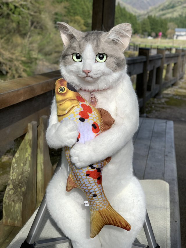 Người Nhật phát cuồng với chiếc balo nhìn giống hệt mèo thật, giá hơn 1.000 USD - Ảnh 4.