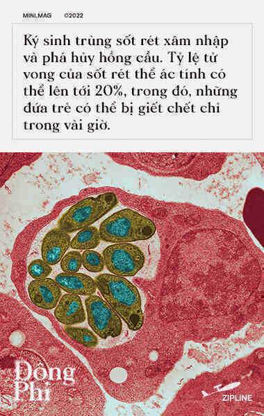 [mini] Ở một đất nước Đông Phi, nơi máu được thả xuống từ bầu trời - Ảnh 4.