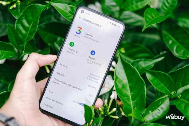 realme Q5 Pro giá hơn 7 triệu có màn hình AMOLED 120Hz, chip Snapdragon 870, sạc siêu nhanh 80W - Ảnh 13. realme Q5 Pro giá hơn 7 triệu có màn hình AMOLED 120Hz, chip Snapdragon 870, sạc siêu nhanh 80W - Ảnh 13.