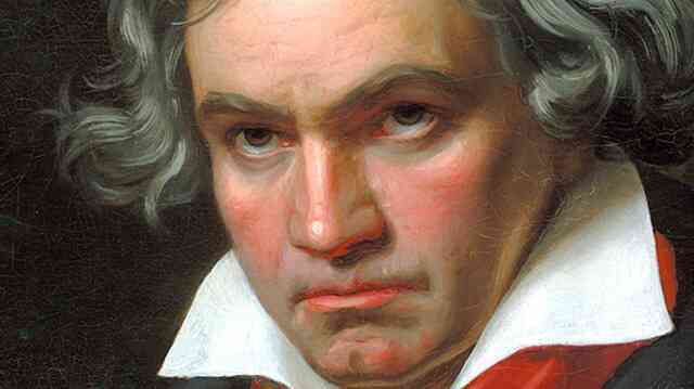 Tại sao Beethoven lại bị điếc? - Ảnh 1. Tại sao Beethoven lại bị điếc? - Ảnh 1.