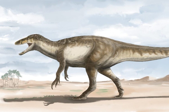 Không phải khủng long bạo chúa, loài khủng long này còn to lớn hơn, nguy hiểm hơn rất nhiều lần - Ảnh 2.
