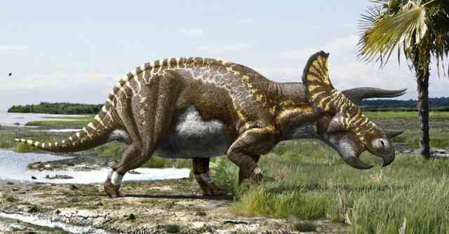 Các manh mối hóa học tiết lộ tốc độ trao đổi chất của các loài khủng long: Tyrannosaurus rex máu nóng, Stegosaurus máu lạnh! - Ảnh 3. Các manh mối hóa học tiết lộ tốc độ trao đổi chất của các loài khủng long: Tyrannosaurus rex máu nóng, Stegosaurus máu lạnh! - Ảnh 3.