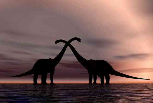 Các manh mối hóa học tiết lộ tốc độ trao đổi chất của các loài khủng long: Tyrannosaurus rex máu nóng, Stegosaurus máu lạnh! - Ảnh 4. Các manh mối hóa học tiết lộ tốc độ trao đổi chất của các loài khủng long: Tyrannosaurus rex máu nóng, Stegosaurus máu lạnh! - Ảnh 4.