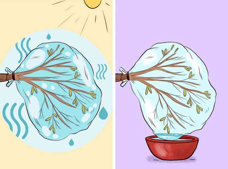 8 kỹ năng sinh tồn có thể cứu sống bạn khi bị mắc kẹt nơi hẻo lánh