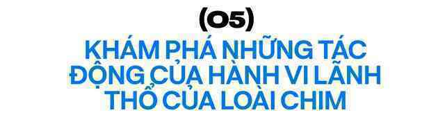 8 nghiên cứu đã thay đổi thế giới mà bạn chưa tưng nghe tới - Ảnh 11.