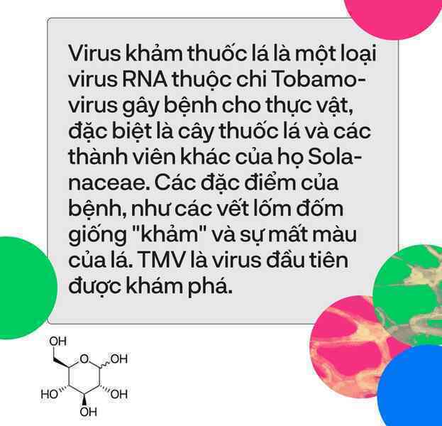 8 nghiên cứu đã thay đổi thế giới mà bạn chưa tưng nghe tới - Ảnh 8.