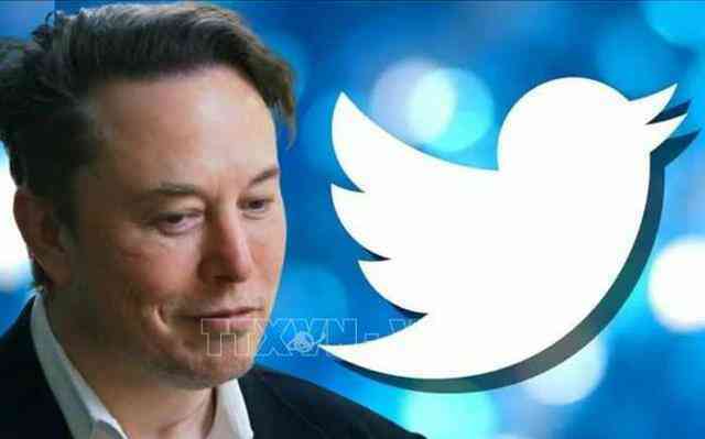 Truyền thông Mỹ: Twitter có thể nhượng bộ cung cấp dữ liệu cho tỷ phú Elon Musk - Ảnh 1.
