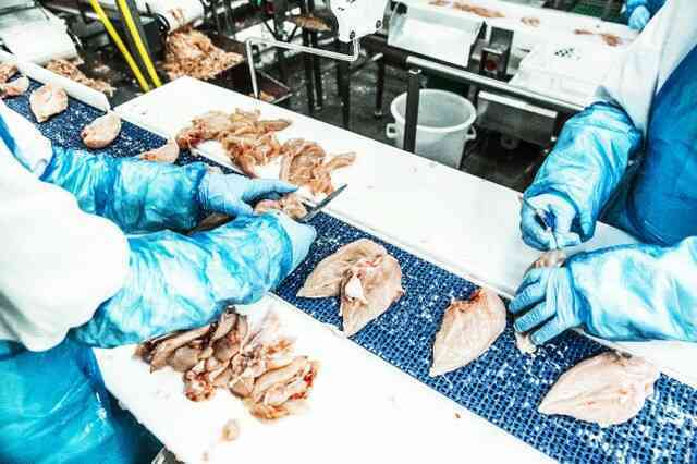 72 tỷ con gà bị giết thịt mỗi năm, con số sẽ giảm 30% nếu bạn chịu khó ăn cả xương của chúng - Ảnh 5.