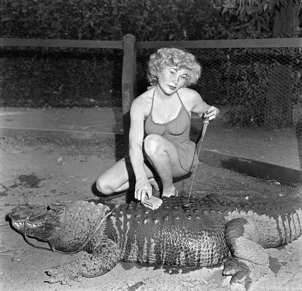 Những bức ảnh hiếm hoi về trại cá sấu những năm 1920 tại California, nơi trẻ em có thể cưỡi và chơi với cá sấu! - Ảnh 2.