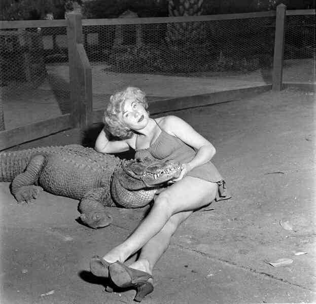 Những bức ảnh hiếm hoi về trại cá sấu những năm 1920 tại California, nơi trẻ em có thể cưỡi và chơi với cá sấu! - Ảnh 6.