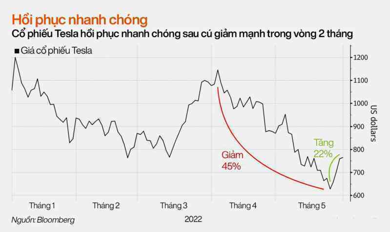 Đội quân fan hâm mộ luôn ở bên khi Elon Musk cần: Cổ phiếu giảm là mua vào, kéo lại đà tăng chỉ sau 2 tháng dù trước đó giảm sốc tới 45% - Ảnh 1. Đội quân fan hâm mộ luôn ở bên khi Elon Musk cần: Cổ phiếu giảm là mua vào, kéo lại đà tăng chỉ sau 2 tháng dù trước đó giảm sốc tới 45% - Ảnh 1.