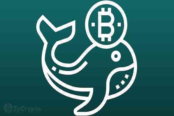Binance nhảy vào bắt đáy, chặn đà Bitcoin giảm sâu