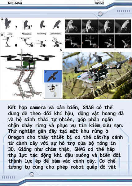 [mini] Giờ đây các nhà khoa học đã có thể chế tạo ra một con robot sở hữu khả năng bay lượn và hạ cánh như loài chim! - Ảnh 8.