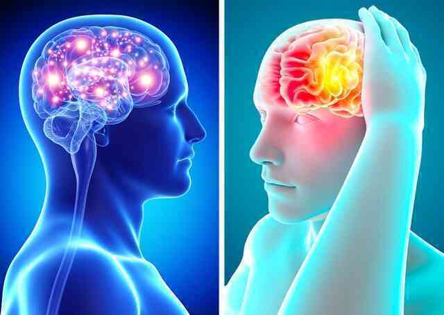 8 sự thật về cơ thể con người mà bạn có thể chưa biết - Ảnh 4. 8 sự thật về cơ thể con người mà bạn có thể chưa biết - Ảnh 4.