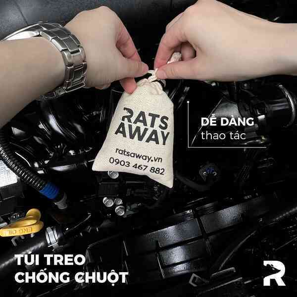 Rats Away - Bạn đồng hành bảo vệ chủ xe trước nỗi lo chuột cắn phá - Ảnh 3.