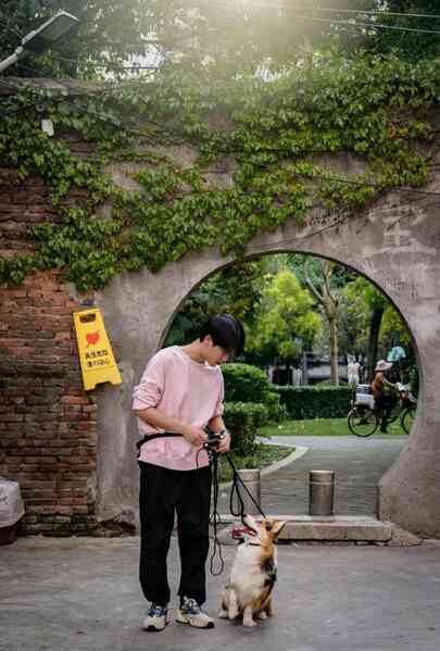 Nghề 'dạy đạo đức' cho chó ở Trung Quốc, lương tháng cả 100 triệu đồng - Ảnh 2. Nghề 'dạy đạo đức' cho chó ở Trung Quốc, lương tháng cả 100 triệu đồng - Ảnh 2.