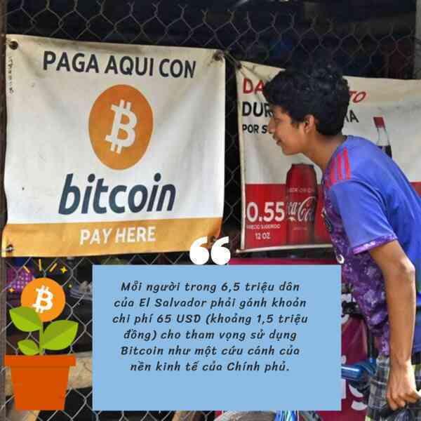 Tổng thống mang gần nửa tỷ USD quốc khố đặt vào 'canh bạc' Bitcoin, mỗi người dân El Salvador phải 'gánh' bao nhiêu tiền?