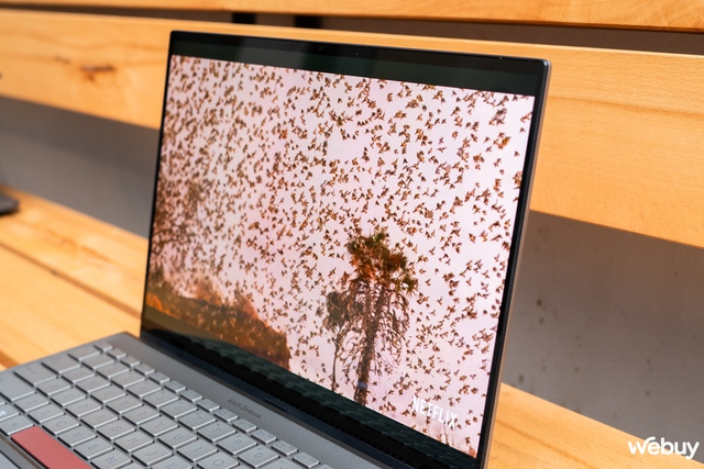 Zenbook - Ảnh 23. Zenbook - Ảnh 23.