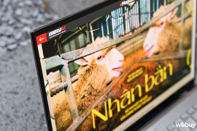 Zenbook - Ảnh 11. Zenbook - Ảnh 11.