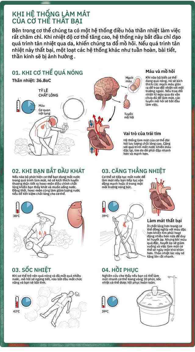 120 năm lịch sử của điều hòa: Từ xa xỉ phẩm dành cho giới triệu phú đến thiết bị bình dân trong thời đại biến đổi khí hậu - Ảnh 14. 120 năm lịch sử của điều hòa: Từ xa xỉ phẩm dành cho giới triệu phú đến thiết bị bình dân trong thời đại biến đổi khí hậu - Ảnh 14.
