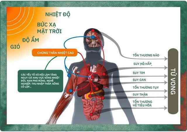 120 năm lịch sử của điều hòa: Từ xa xỉ phẩm dành cho giới triệu phú đến thiết bị bình dân trong thời đại biến đổi khí hậu - Ảnh 15. 120 năm lịch sử của điều hòa: Từ xa xỉ phẩm dành cho giới triệu phú đến thiết bị bình dân trong thời đại biến đổi khí hậu - Ảnh 15.
