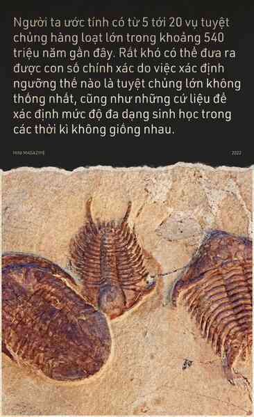 Tại sao sự tuyệt chủng hàng loạt lại xảy ra? - Ảnh 4.