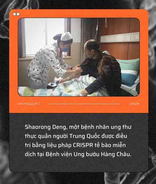 Tròn một thập kỷ CRISPR: Từ nghiên cứu bị lãng quên đến giải Nobel kiến tạo kỷ nguyên mới - Ảnh 15. Tròn một thập kỷ CRISPR: Từ nghiên cứu bị lãng quên đến giải Nobel kiến tạo kỷ nguyên mới - Ảnh 15.