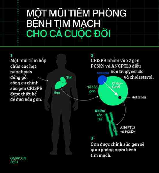 [mini] Tròn một thập kỷ CRISPR: Từ nghiên cứu bị lãng quên đến giải Nobel kiến tạo kỷ nguyên mới - Ảnh 15.