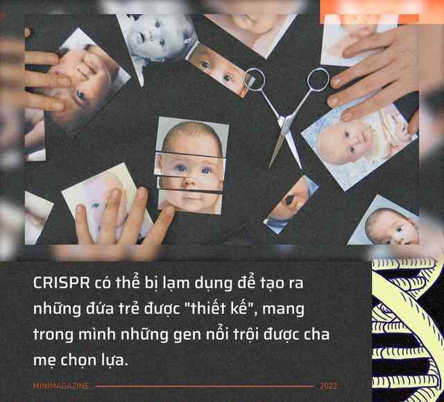 Tròn một thập kỷ CRISPR: Từ nghiên cứu bị lãng quên đến giải Nobel kiến tạo kỷ nguyên mới - Ảnh 20. Tròn một thập kỷ CRISPR: Từ nghiên cứu bị lãng quên đến giải Nobel kiến tạo kỷ nguyên mới - Ảnh 20.