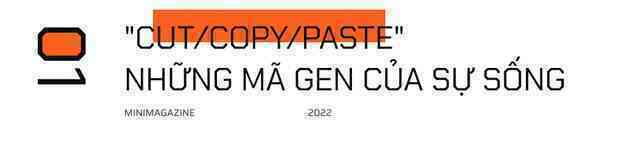 Tròn một thập kỷ CRISPR: Từ nghiên cứu bị lãng quên đến giải Nobel kiến tạo kỷ nguyên mới - Ảnh 3. Tròn một thập kỷ CRISPR: Từ nghiên cứu bị lãng quên đến giải Nobel kiến tạo kỷ nguyên mới - Ảnh 3.