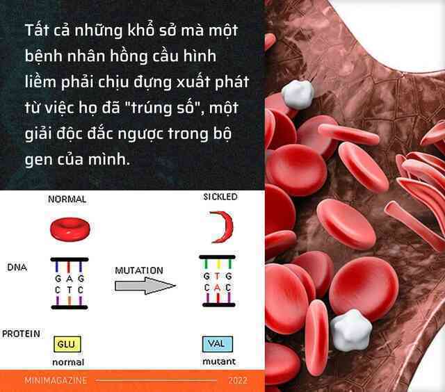 Tròn một thập kỷ CRISPR: Từ nghiên cứu bị lãng quên đến giải Nobel kiến tạo kỷ nguyên mới - Ảnh 9. Tròn một thập kỷ CRISPR: Từ nghiên cứu bị lãng quên đến giải Nobel kiến tạo kỷ nguyên mới - Ảnh 9.