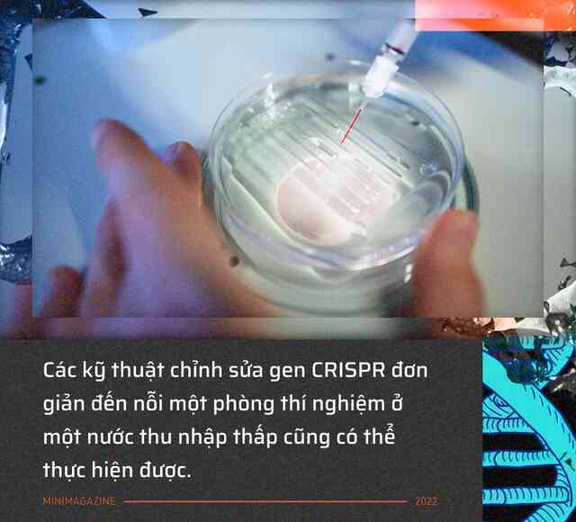 Tròn một thập kỷ CRISPR: Từ nghiên cứu bị lãng quên đến giải Nobel kiến tạo kỷ nguyên mới - Ảnh 10. Tròn một thập kỷ CRISPR: Từ nghiên cứu bị lãng quên đến giải Nobel kiến tạo kỷ nguyên mới - Ảnh 10.