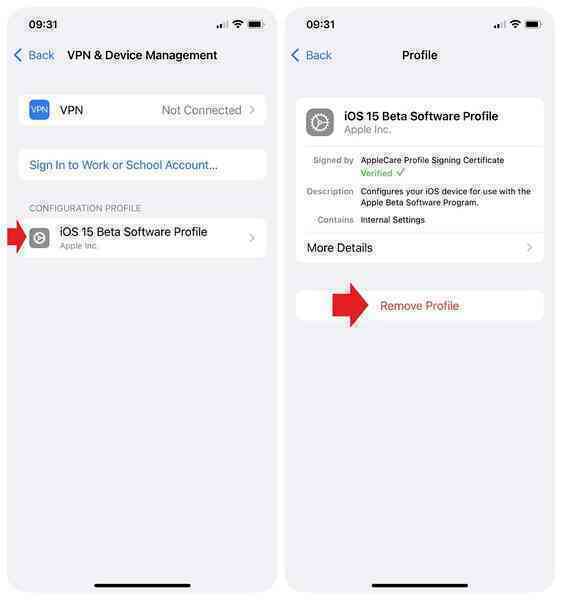 Hướng dẫn ngừng cập nhật iOS beta