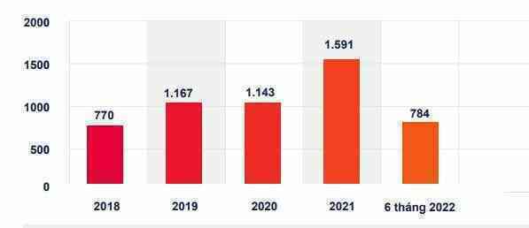 Microsoft, Facebook, Netflix, TikTok, eBay... tự kê khai và nộp 20 triệu USD tiền thuế vào ngân sách
