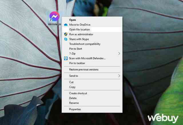 Cách đơn giản để có thể sử dụng nhiều tài khoản trò chuyện trên Windows - Ảnh 8. Cách đơn giản để có thể sử dụng nhiều tài khoản trò chuyện trên Windows - Ảnh 8.