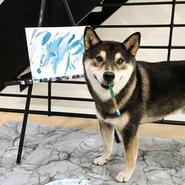 Chú chó có tài vẽ tranh được khắp thế giới đặt mua, giúp chủ kiếm hơn 400 triệu - Ảnh 3.