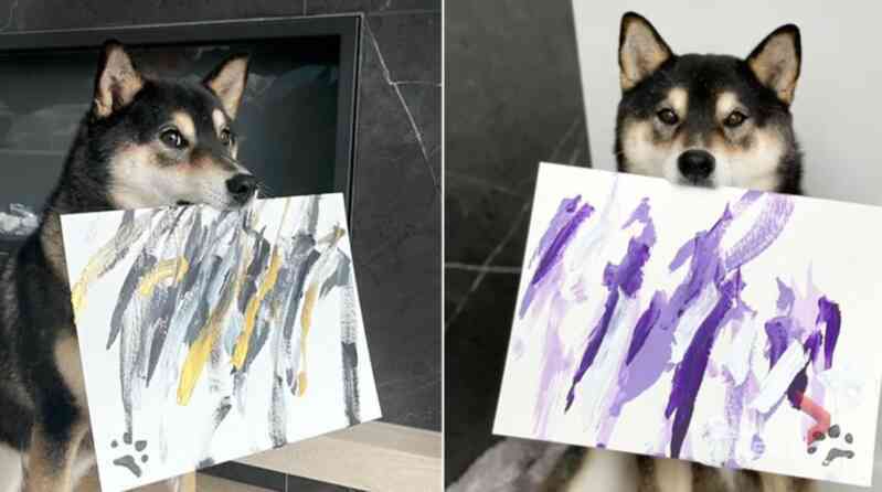 Chú chó có tài vẽ tranh được khắp thế giới đặt mua, giúp chủ kiếm hơn 400 triệu - Ảnh 4.