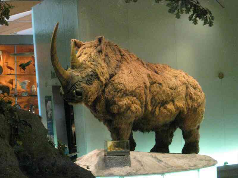 Những loài động vật thời tiền sử khổng lồ đáng kinh ngạc từ Trái Đất cổ đại - Ảnh 5.