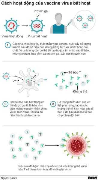 Nếu có vết sẹo huyền thoại này trên cánh tay, bạn đang được bảo vệ khỏi rất nhiều bệnh trong cuộc đời mình đấy - Ảnh 8.