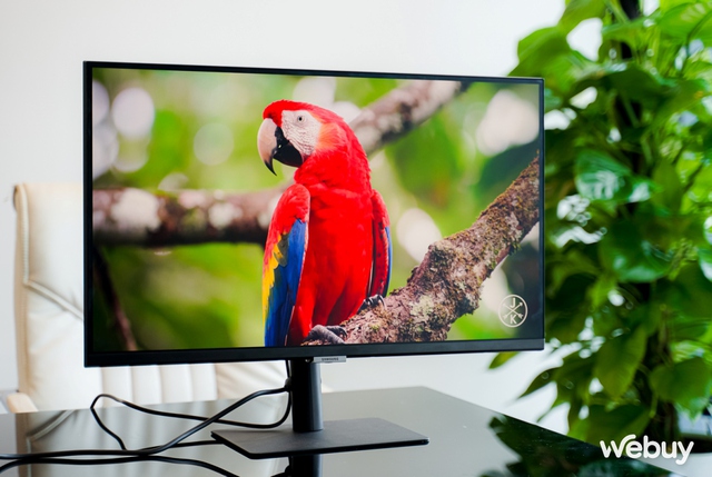 Ấn tượng đầu về Samsung ViewFinity S8 27”: Tấm nền 4K, màu chuẩn PANTONE, thiết kế gọn đẹp, nhiều tính năng - Ảnh 4. Ấn tượng đầu về Samsung ViewFinity S8 27”: Tấm nền 4K, màu chuẩn PANTONE, thiết kế gọn đẹp, nhiều tính năng - Ảnh 4.