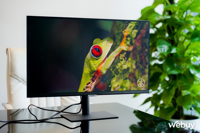 Ấn tượng đầu về Samsung ViewFinity S8 27”: Tấm nền 4K, màu chuẩn PANTONE, thiết kế gọn đẹp, nhiều tính năng - Ảnh 6. Ấn tượng đầu về Samsung ViewFinity S8 27”: Tấm nền 4K, màu chuẩn PANTONE, thiết kế gọn đẹp, nhiều tính năng - Ảnh 6.