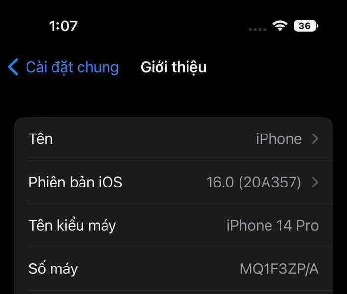 kho phan biet, iphone xach tay anh 3