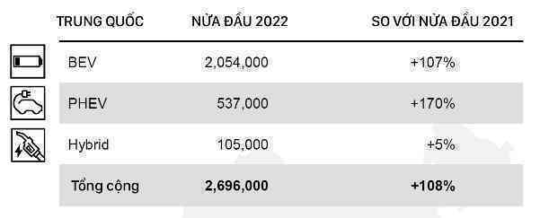 Thị trường xe điện toàn cầu 2022: Trung Quốc và châu Âu trái xu hướng, Tesla mới chỉ dẫn đầu tại Mỹ - Ảnh 5.