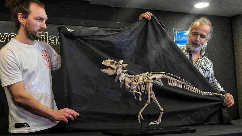 Bất ngờ phát hiện một loài khủng long hoàn toàn mới tại Argentina!  - Ảnh 4.