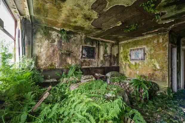  Khám phá bên trong khách sạn bị bỏ hoang tại Ireland, nơi khung cảnh được bao trùm bởi thảm thực vật - Ảnh 7.