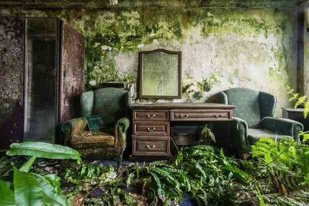  Khám phá bên trong khách sạn bị bỏ hoang tại Ireland, nơi khung cảnh được bao trùm bởi thảm thực vật - Ảnh 9.