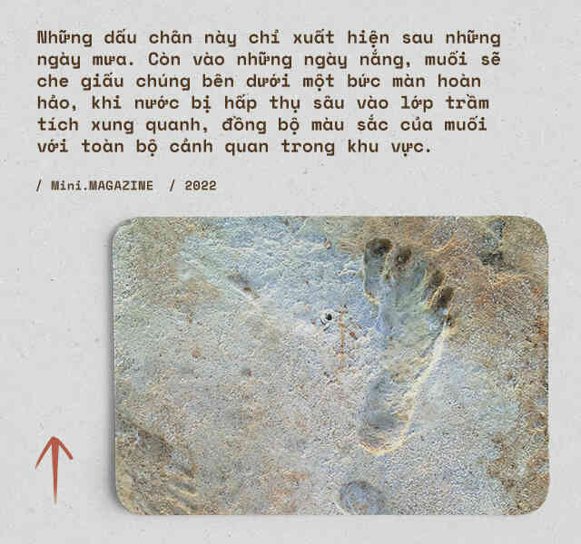 Không quân Mỹ phát hiện những "dấu chân ma" trên sa mạc: Họ đã vẽ lại cuộc sống của những linh hồn chúng thuộc về - Ảnh 8. Không quân Mỹ phát hiện những "dấu chân ma" trên sa mạc: Họ đã vẽ lại cuộc sống của những linh hồn chúng thuộc về - Ảnh 8.