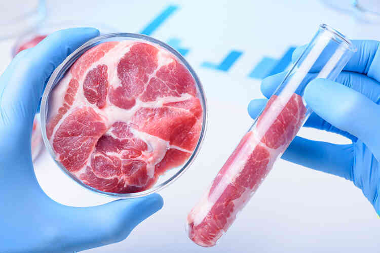 Sản xuất thịt nhân tạo bằng từ trường, các nhà khoa học Singapore đạt được đột phá ấn tượng - Ảnh 1.