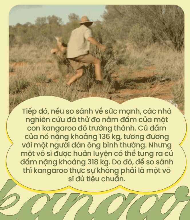 So găng cùng chuột túi, con người liệu có cơ hội chiến thắng? - Ảnh 4.